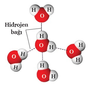 Hidrojen Bağı - Zayıf Etkileşimler
