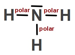 Polar Kovalent Bağ