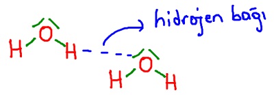 Hidrojen Bağı