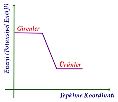 Ekzotermik Bir Tepkimede Enerji-T.K Grafiği