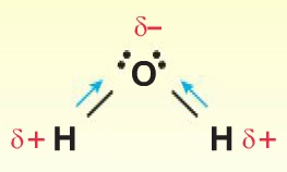 H2O-Su-Molekülü-polar