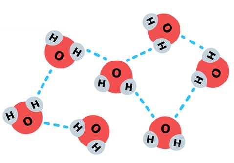Su-molekülleri-arasında-hidrojen-bağları